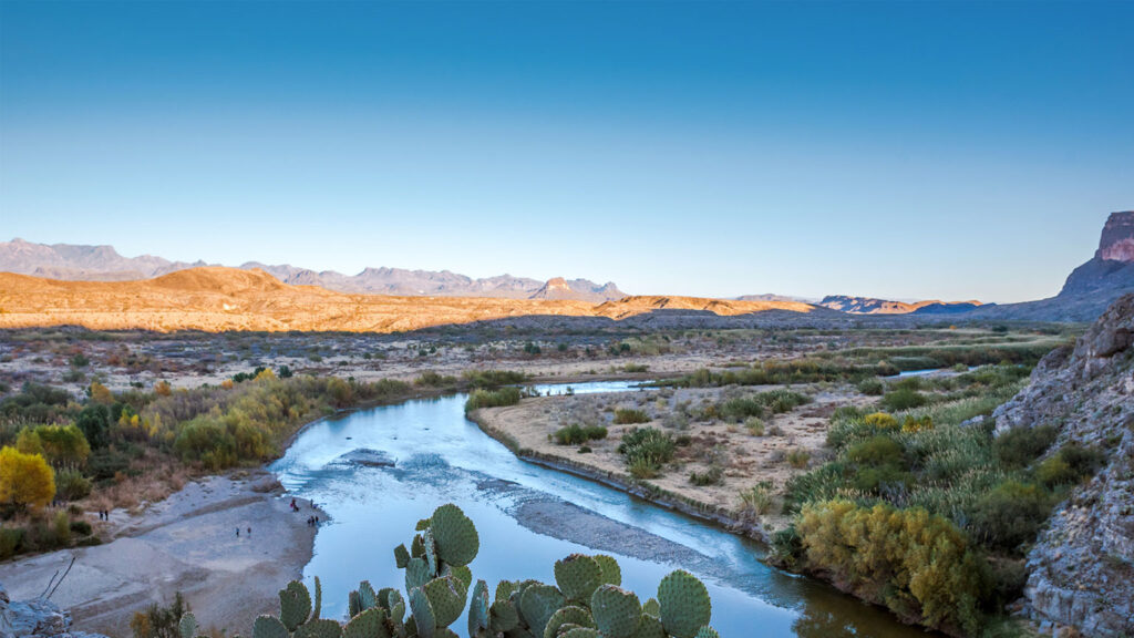 image of wilderness with mountains, cactuses, and grass